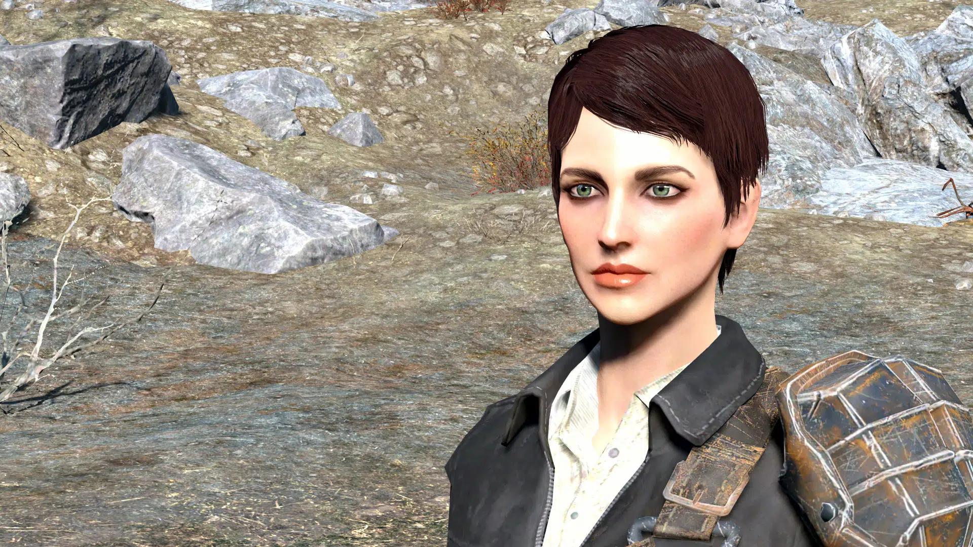 Fallout 4 companions